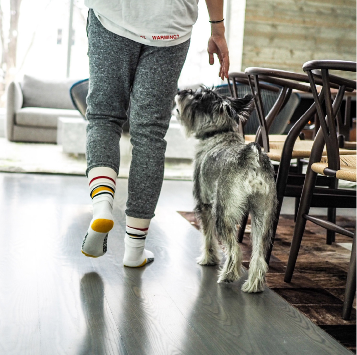 Homeowner and pet dog